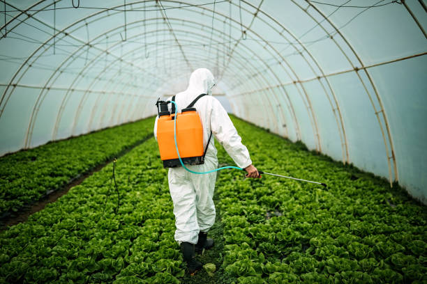 Best Pest Inspection Near Me  in Farmville, VA