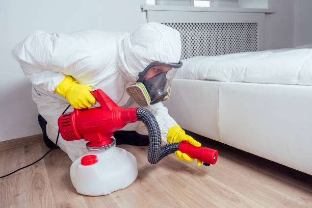 Best Rat Extermination Near Me  in Farmville, VA