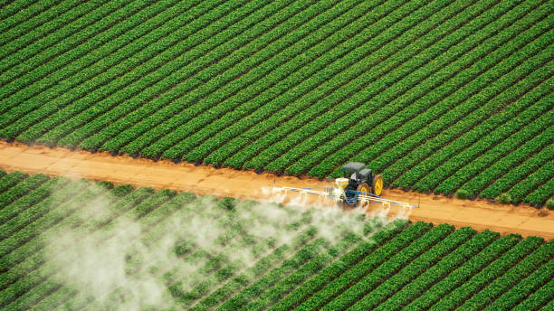 Best Exterminator Services  in Farmville, VA