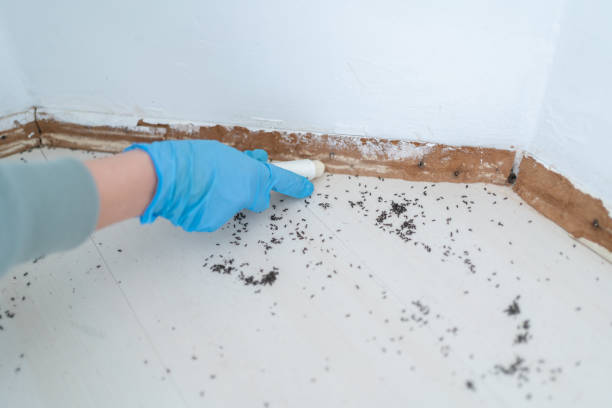 Best Pest Control for Restaurants  in Farmville, VA